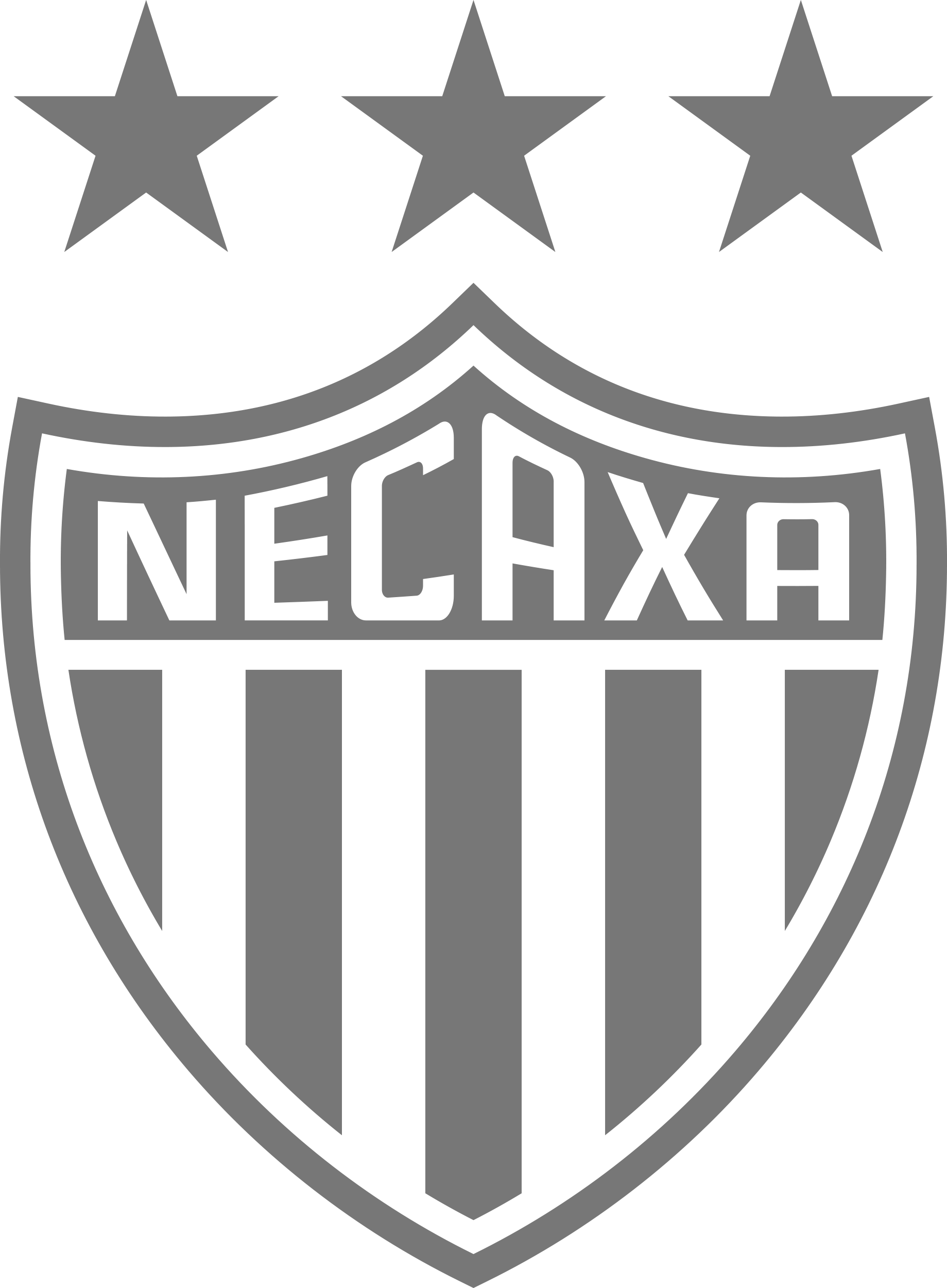 Logo 14) NECAXA 2